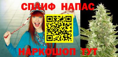 spice Ирбит