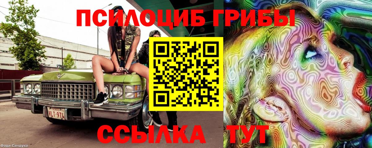 Псилоцибиновые грибы MAGIC MUSHROOMS Лобня